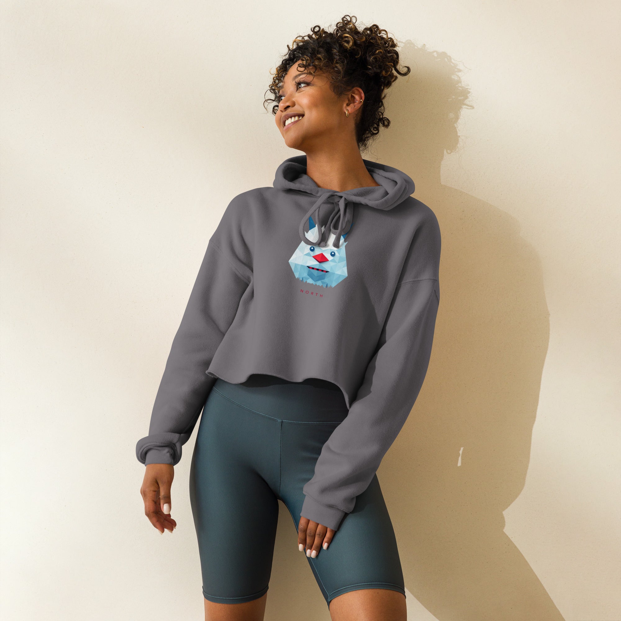 North Crop Hoodie